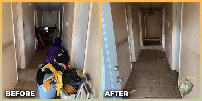 before and after photos