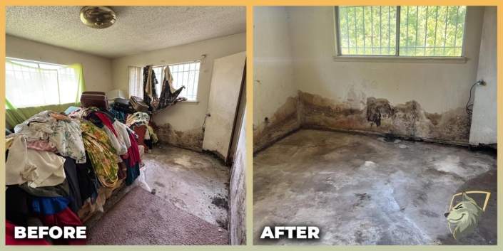 before and after photos