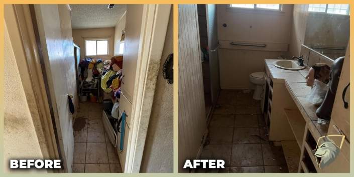 before and after photos